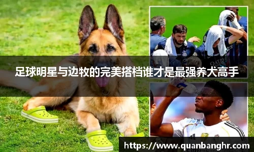 足球明星与边牧的完美搭档谁才是最强养犬高手