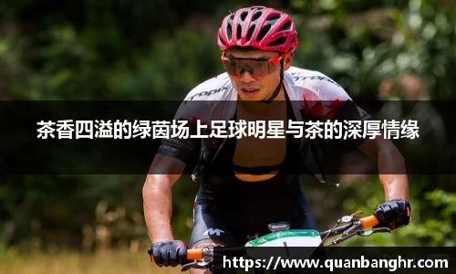 EMC易倍体育官方入口